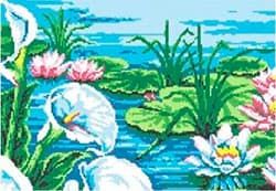 1c-kalli-i-vodniye-lilii-