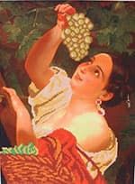 1c-dama-s-vinogradon-114