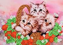 1c-zemlyznichniy-urozhay-