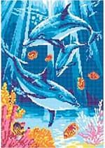 1c-zhiteli-korall-lagun-0