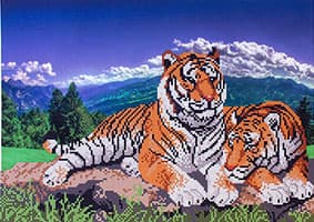 1c-tigr-i-tigrica-051