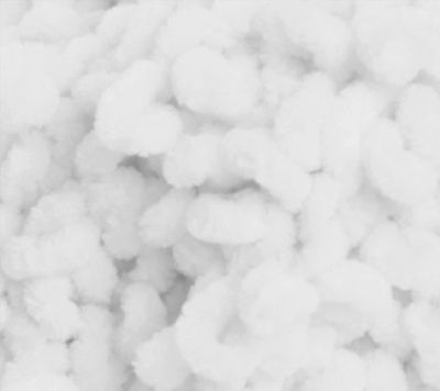 DOLPHIN LOOP (112-01)