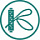 ПНК Кирова ПНК Кирова