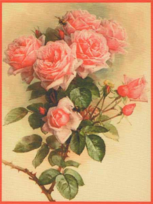 pl_022_rosees_18x27_cm