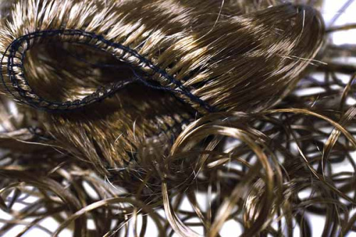 hair_curls_essays_forest_