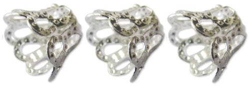 korona - копия (2)