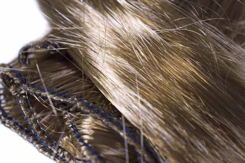 hair_direct_essays_forest